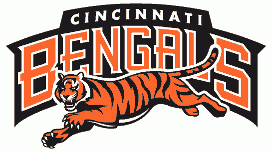 Cincinnati Bengals 1997-2003 Wordmark Logo t shirt iron on transfers...